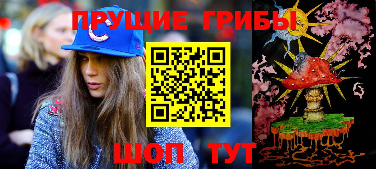 Муром  Галлюциногенные грибы Psilocybine cubensis  Псилоцибиновые грибы Psilocybine cubensis  Вход с VPN 