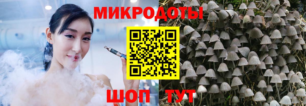 Галлюциногенные грибы MAGIC MUSHROOMS Муром